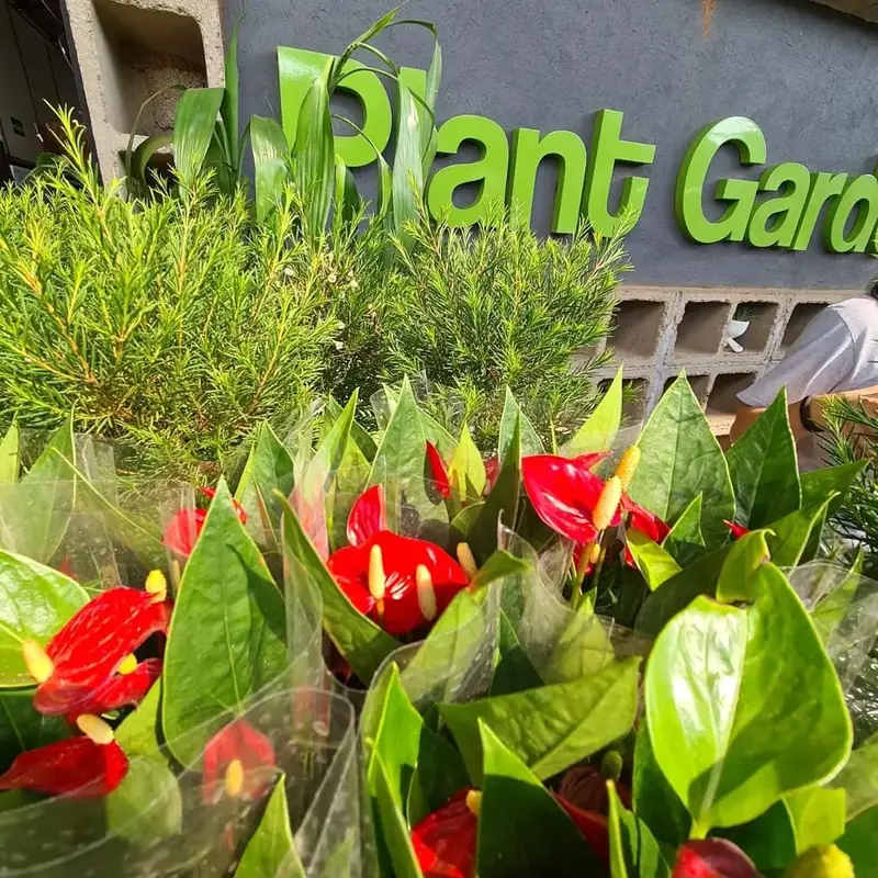 Antúrios vermelhos e folhagens em frente ao letreiro verde Plant Garden fixado no muro da loja