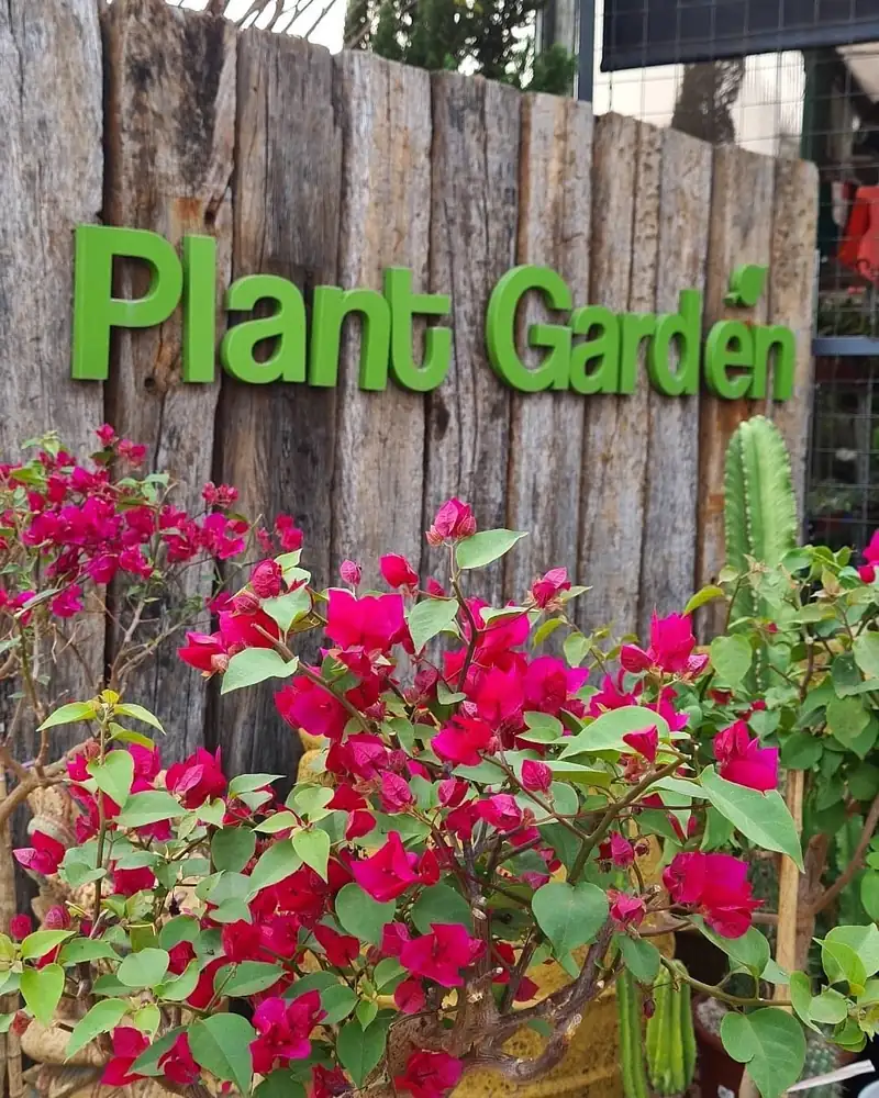 Letreiro verde Plant Garden aplicado sobre um painel de madeira rústica, com buganvílias floridas em primeiro plano