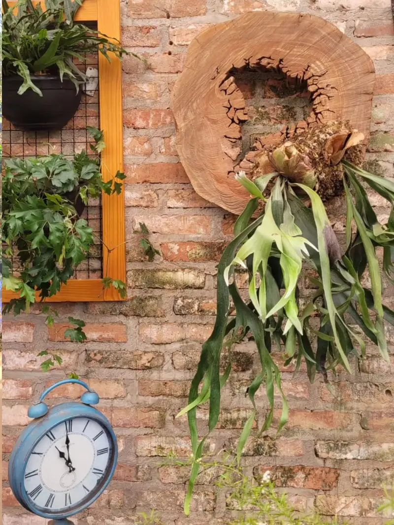 Parede de tijolo aparente da loja decorada com chifre-de-veado pendurado, quadros e um relógio