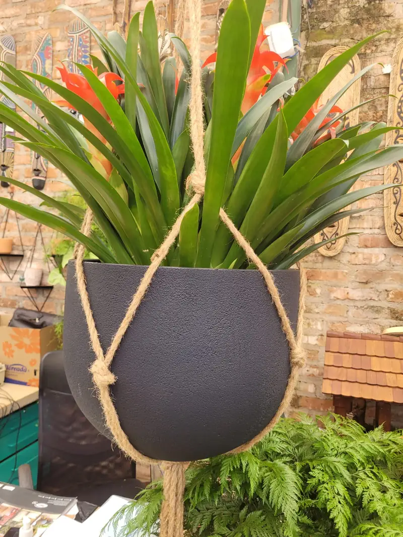 Bromélia plantada em vaso de cimento suspenso por corda de sisal