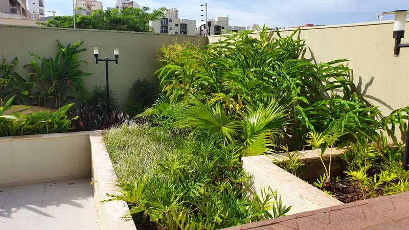 Canteiro linear recém-plantado ao pé de um muro alto, com palmeiras e folhagens ainda jovens