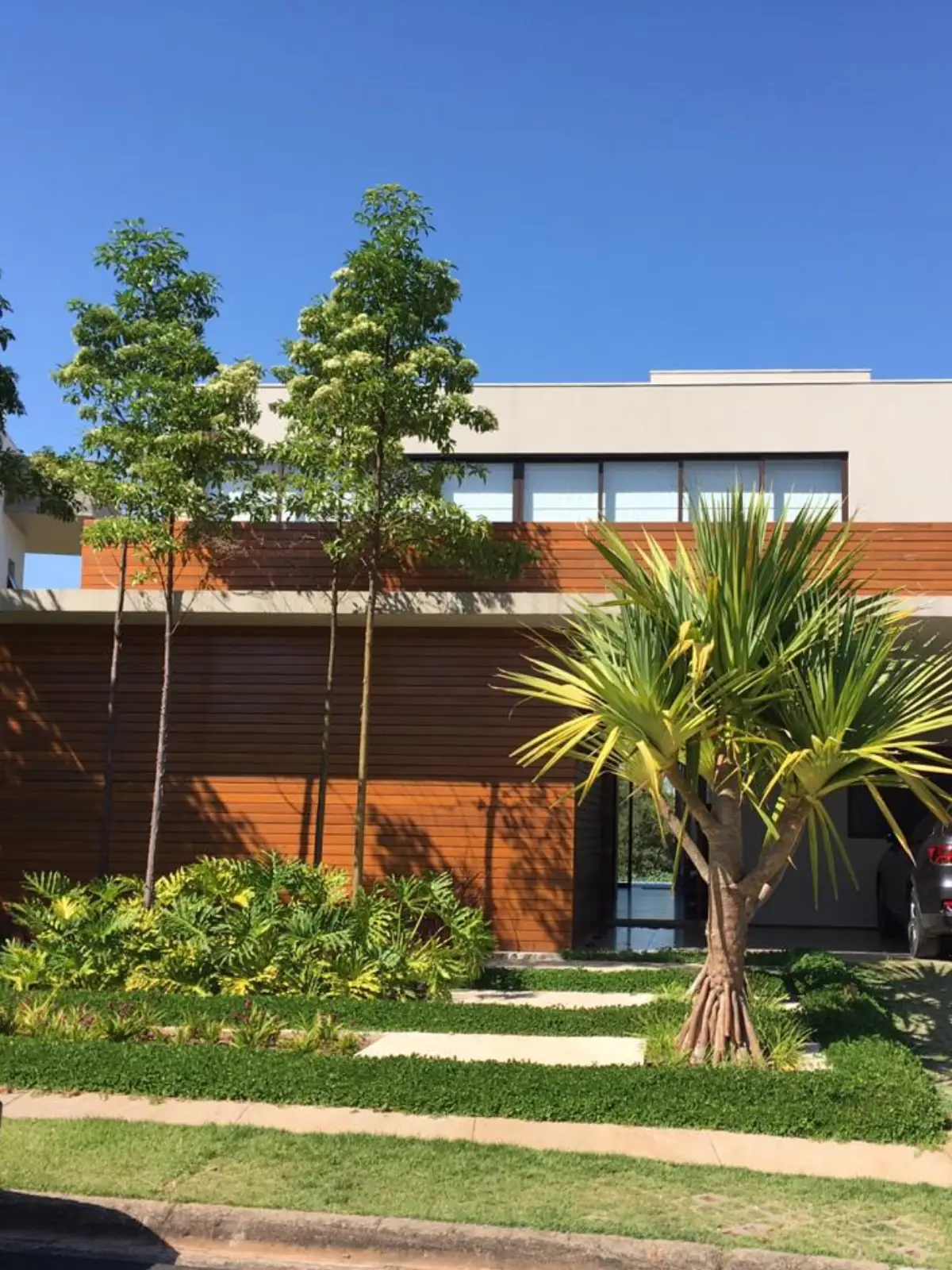 Jardim executado na frente de uma residência contemporânea de madeira e concreto, com dracena, forrações e caminho de placas de concreto sobre a grama