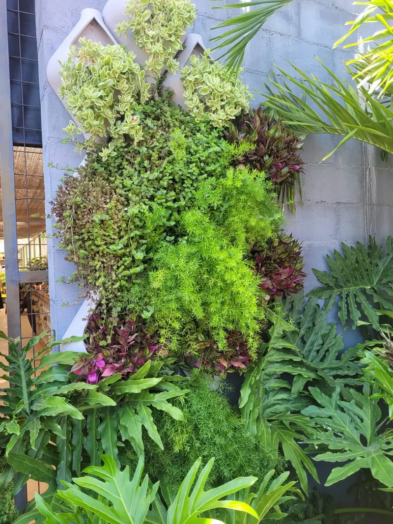 Jardim vertical montado em parede, combinando samambaias, begônias e folhagens de texturas e tons diferentes
