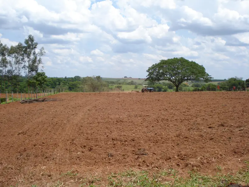 Área do sítio com a terra já arada e preparada para receber novos canteiros
